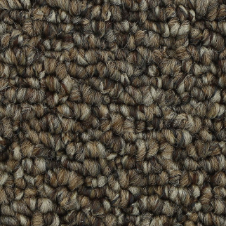 Horizon Carpet Pure Admiration 15 Copper Tones Mohawk