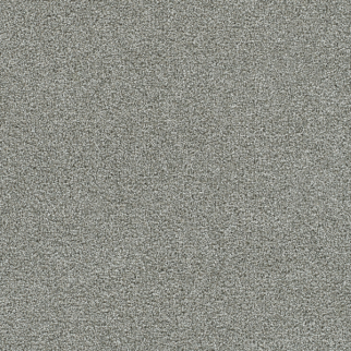 Dreamweaver Carpet Clearwater I Creek Bend DREAMWEAVER