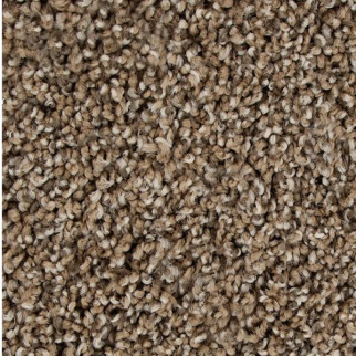 Mohawk Carpet Color Fusion I Harvest Moon Mohawk