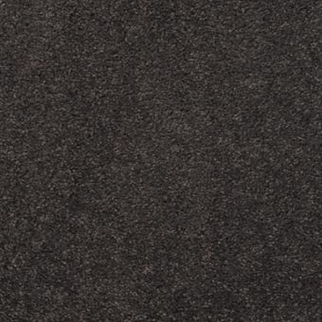 Masland Carpets Embrace Bastille Masland