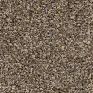 Phenix Carpets Appealing Charm PHENIX