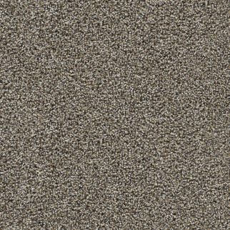 Dreamweaver Carpet Captivating I Dark Truffle DREAMWEAVER