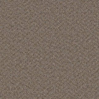 Dreamweaver Carpet Broadcast Plus Cinder DREAMWEAVER