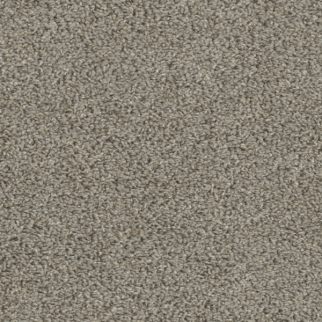 Dreamweaver Carpet Tracker Cinder DREAMWEAVER