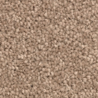 Mohawk Carpet Treasure Valley Honey Butter Mohawk