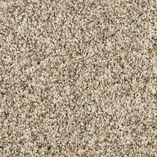 Mohawk Carpet Canine Chic Soapstone Mohawk