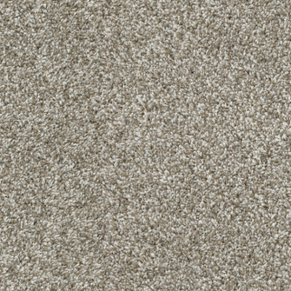 Dixie Home Tactics Shale