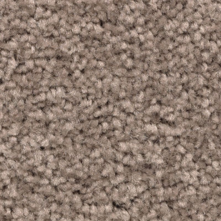 Mohawk Carpet Treasure Valley Mesquite Chip Mohawk