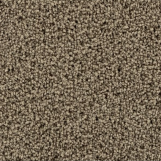 Mohawk Carpet Gentle Path Salutation Mohawk