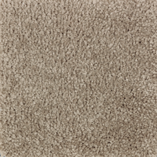 Mohawk Carpet Homefront III Teak Mohawk