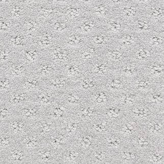 Dixie Home Dreamer Grullo