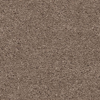 Godfrey Hirst Carpets Luxurious Hues Martini GODFREY HIRST