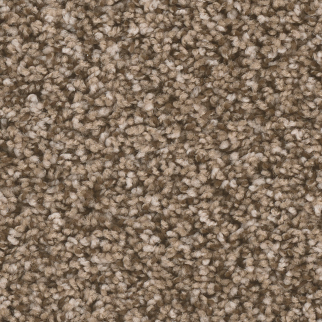 Dreamweaver Carpet West Brow Bramble DREAMWEAVER