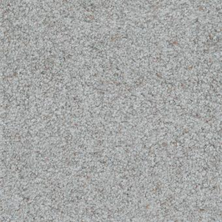 Masland Carpets Boca Raton Never Ending Masland