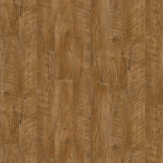 Flexitec Bongo 847 IVC