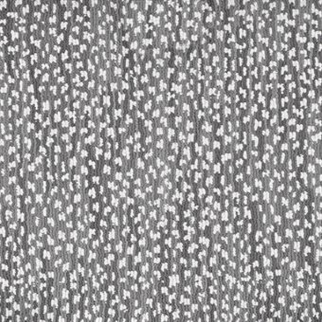 Masland Carpets Jag Cavern Masland