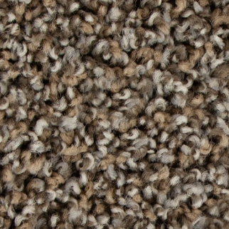 Mohawk Carpet Color Fusion II Driftwood Mohawk