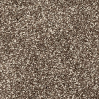 Mohawk Carpet Lakewood Drive I Mountain Top Mohawk