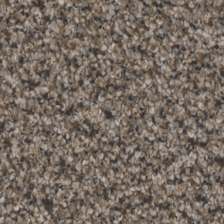 Tarkett Home Carpets Riviera Stately LEXMARK