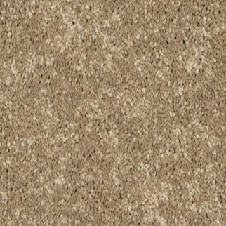 Horizon Carpet Modern Story I Turnstone Mohawk