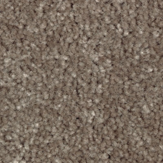 Mohawk Carpet Classical Design I 12' Coco Mocha Mohawk