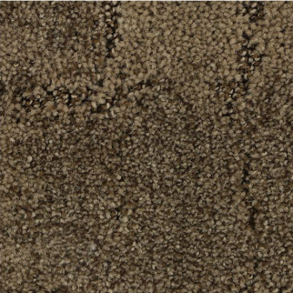 Horizon Carpet Elaborate Appeal Hoot Wool Mohawk