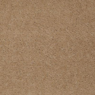 Aladdin Carpet Accelerator Plus Olive Branch MISSING