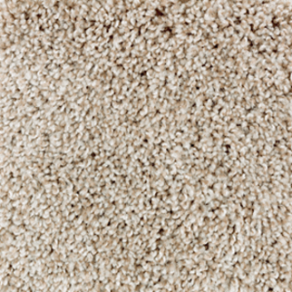 Mohawk Carpet Perfect Attraction Thatch Roof Mohawk