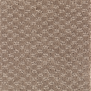 Mohawk Carpet Dynamo Havana Tan Mohawk