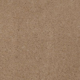 Aladdin Carpet Accelerator Plus Toffee MISSING