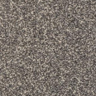 Masland Carpets Beacon Hill Quaker Masland