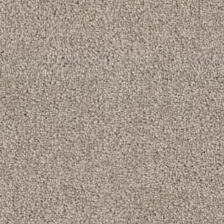 Dixie Home Spring Break Sandpiper