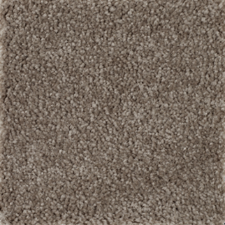 Mohawk Carpet Homefront III Pecan Bark Mohawk