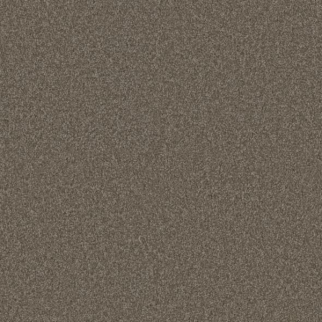 Phenix Carpets Amarillo Prairie PHENIX