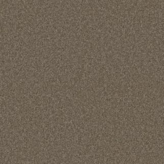 Phenix Carpets El Dorado Prairie PHENIX