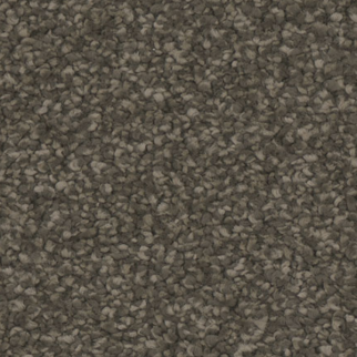 Tarkett Home Carpets Allure Ravish LEXMARK