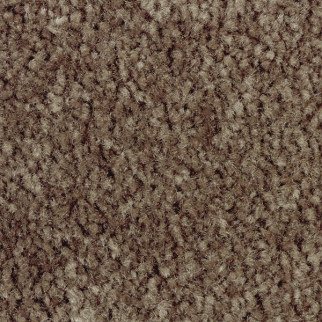 Mohawk Carpet Classical Design I 12' Rustic Beam Mohawk
