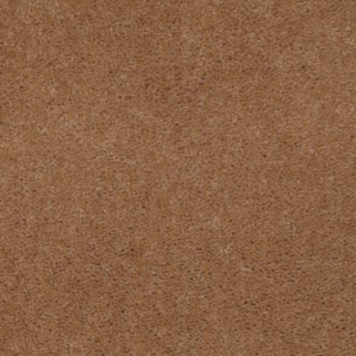 Aladdin Carpet Accelerator Plus Spicecake MISSING