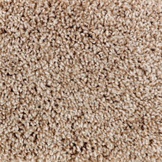 Mohawk Carpet Perfect Attraction Wilderness Mohawk