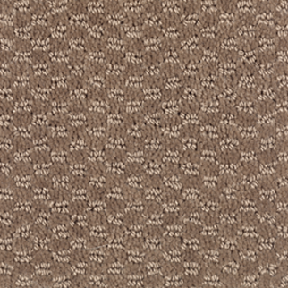 Mohawk Carpet Dynamo Gingersnap Mohawk