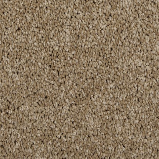 Mohawk Carpet Up The Ante Safari Tan Mohawk