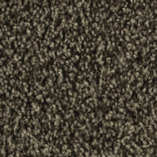 Mohawk Carpet Artistic Allure Imperial Brown Mohawk