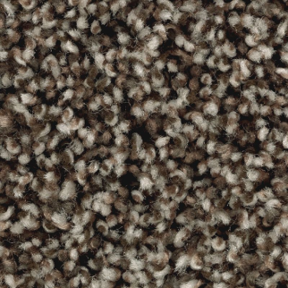 Mohawk Carpet Artist's Slate Imperial Brown Mohawk
