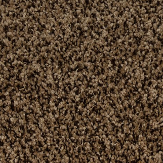 Mohawk Carpet Up The Ante Mocha Brown Mohawk