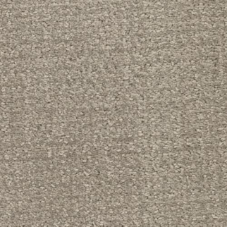 Masland Carpets Pedigree Rebarkable Masland