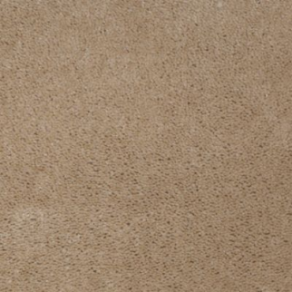 Aladdin Carpet Accelerator Plus Almond MISSING