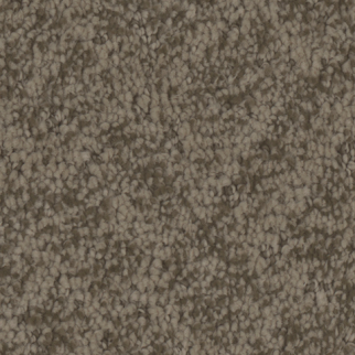 Tarkett Home Carpets Cheshire Historic LEXMARK