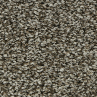 Mohawk Carpet Polished Shades I Native Soul Mohawk