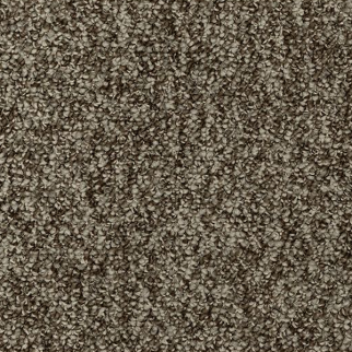 Mohawk Carpet Enduring Amazement Garden bramble Mohawk