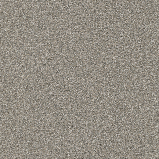 Masland Carpets Hunter Scooby Masland